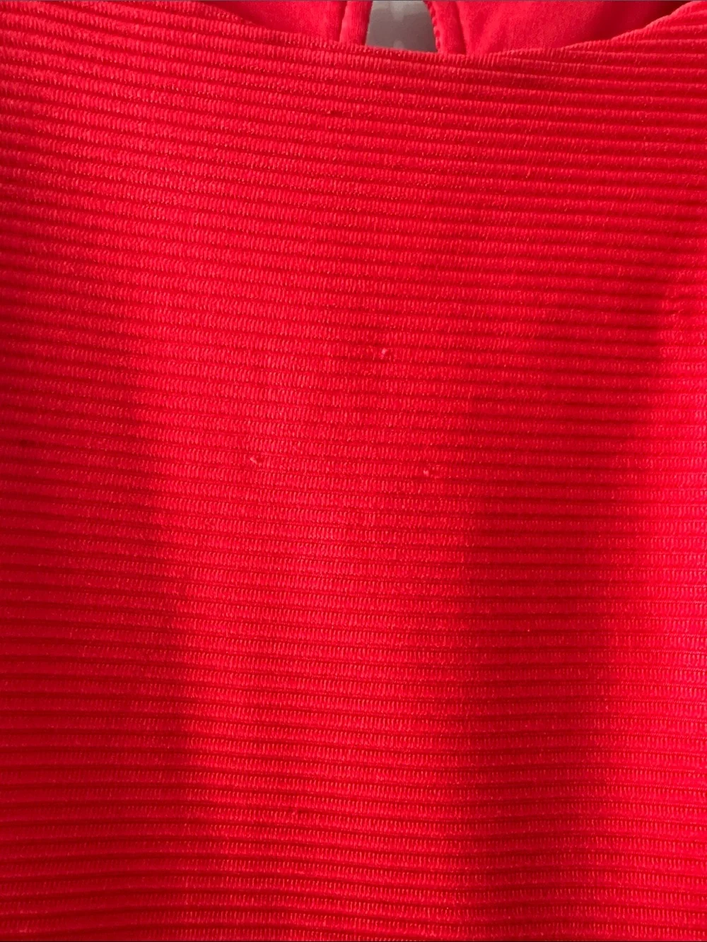 Express Red Sleeveless Fit & Flare Mini Dress